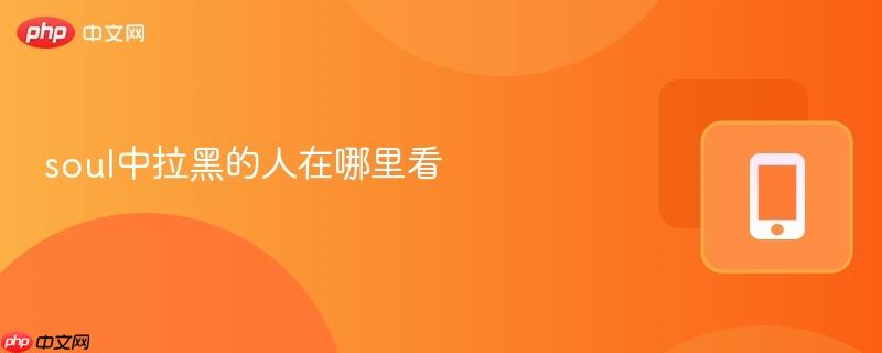 soul中拉黑的人在哪里看