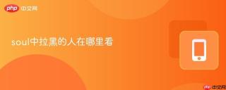 soul中拉黑的人在哪里看