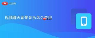 视频聊天背景音乐怎么关闭