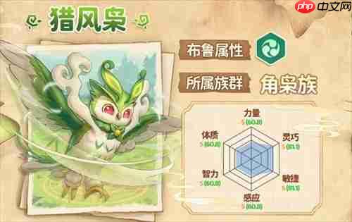 万灵之契布鲁猎风枭图文攻略