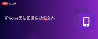 iPhone无法正常启动怎么办