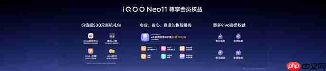 2K屏双芯游戏神机!“超神标准版”iQOO Neo11 起售价2599元