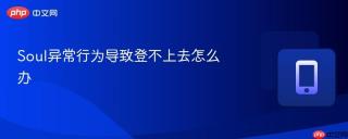 Soul异常行为导致登不上去怎么办