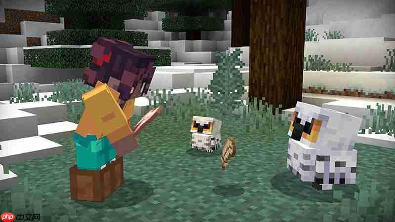 《minecraft》免费人气模组：只加「猫头鹰」为何人气爆棚？