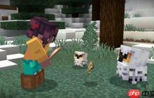 《Minecraft》免费人气模组：只加「猫头鹰」为何人气爆棚？
