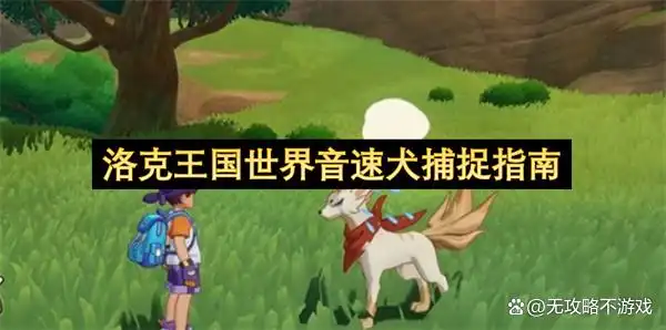 洛克王国世界音速犬捕捉指南