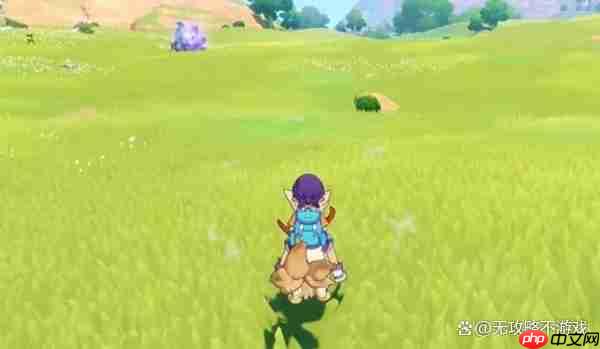 洛克王国世界音速犬捕捉指南