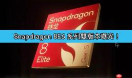 Snapdragon 8E6 系列双版本曝光！全系台积电 2nm 工艺，小米 18 抢首发!