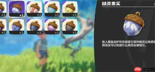 洛克王国世界灵狐捕捉指南