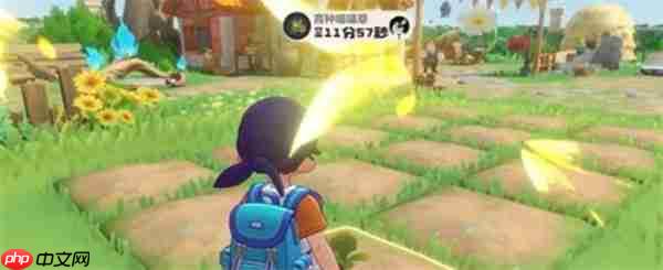 洛克王国世界家园舒适度提升方法一览