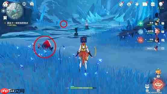 原神山中之物三个碎片位置详细介绍