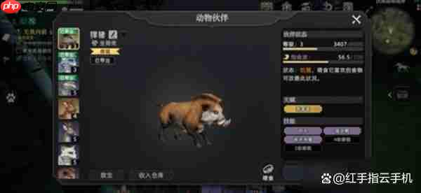 荒原曙光五大实用宠物推荐