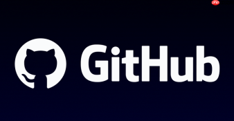 GitHub镜像API接口怎么用_GitHub镜像API访问方式与限制说明