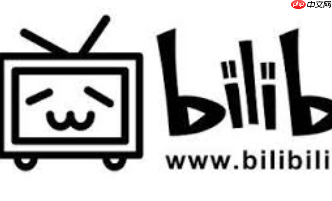 哔哩哔哩官网入口_哔哩哔哩官网入口一键进入观看最新热门视频