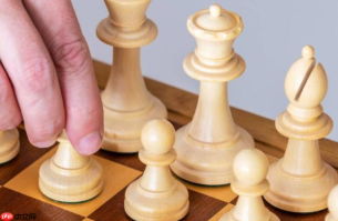 chesscom国际象棋下载_chesscom国际象棋下载官方版本对弈训练更专业