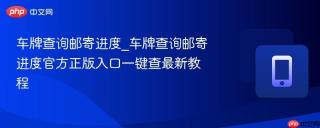 车牌查询邮寄进度_车牌查询邮寄进度官方正版入口一键查最新教程