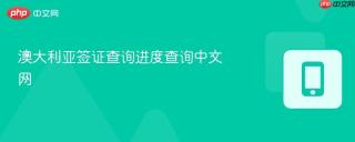 澳大利亚签证查询进度查询中文网