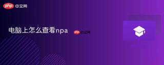 电脑上怎么查看npa