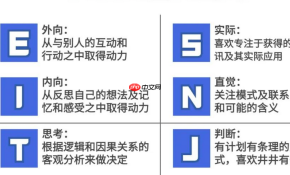 mbti官网入口地址详解_迈尔斯布里格斯MBTI官网评估入口网址