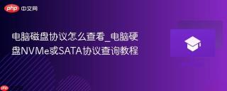 电脑磁盘协议怎么查看_电脑硬盘NVMe或SATA协议查询教程