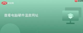 查看电脑硬件温度网址