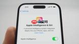 苹果最终选择是Google Gemini！将改造Siri变得更聪明 果粉期待的AI助理要来了？