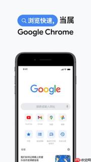 google浏览器怎么选择高级设置_谷歌Chrome浏览器高级选项入口指南
