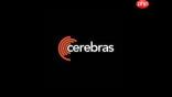 OpenAI誓言打造全球最快AI！豪掷100亿美元联手辉达对手Cerebras