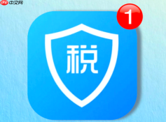 个人所得税专项附加申报流程_个人所得税专项附加申报流程详细步骤图解
