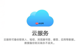 vivo云服务app怎么下载？vivo应用商店搜索云服务官方APP下载安装