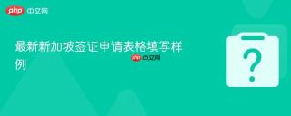 最新新加坡签证申请表格填写样例