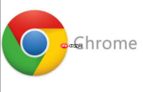 chorme浏览器官网无需下载_谷歌Chrome浏览器官方正版无需下载入口