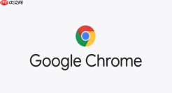 Googe 浏览器官网是真的吗？Googe 浏览器官网错误拼写说明