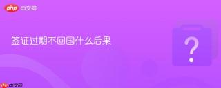 签证过期不回国什么后果