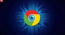google浏览器官网入口快速_谷歌Chrome浏览器官方网站快速入口