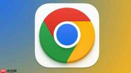 谷歌google浏览器官网入口_谷歌Chrome浏览器官方入口网址详解