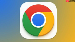 google浏览器安装官方方法_谷歌Chrome浏览器正版安装教程