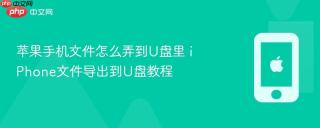 苹果手机文件怎么弄到U盘里 iPhone文件导出到U盘教程