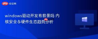 windows驱动开发有前景吗 内核安全与硬件生态趋势分析