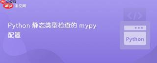 Python 静态类型检查的 mypy 配置
