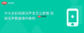 华为手机视频没声音怎么恢复 视频无声恢复操作教程