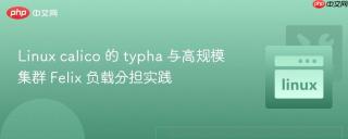 linux calico 的 typha 与高规模集群 felix 负载分担实践