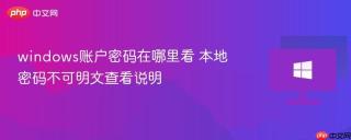 windows账户密码在哪里看 本地密码不可明文查看说明