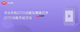 华为手机OTG功能在哪里打开 OTG功能开启方法