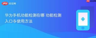 华为手机功能检测在哪 功能检测入口与使用方法
