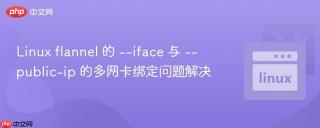 linux flannel 的 --iface 与 --public-ip 的多网卡绑定问题解决