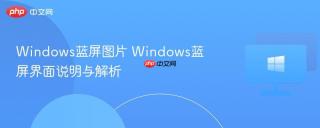 Windows蓝屏图片 Windows蓝屏界面说明与解析