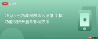 华为手机功能权限怎么设置 手机功能权限开启与管理方法