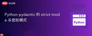 Python pydantic 的 strict mode 与宽松模式