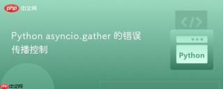Python asyncio.gather 的错误传播控制